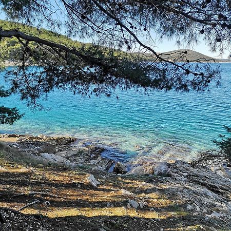 Villa Long Island Luxury Residence, Sali Dugi Otok-Private Parking,Next To Beach ภายนอก รูปภาพ